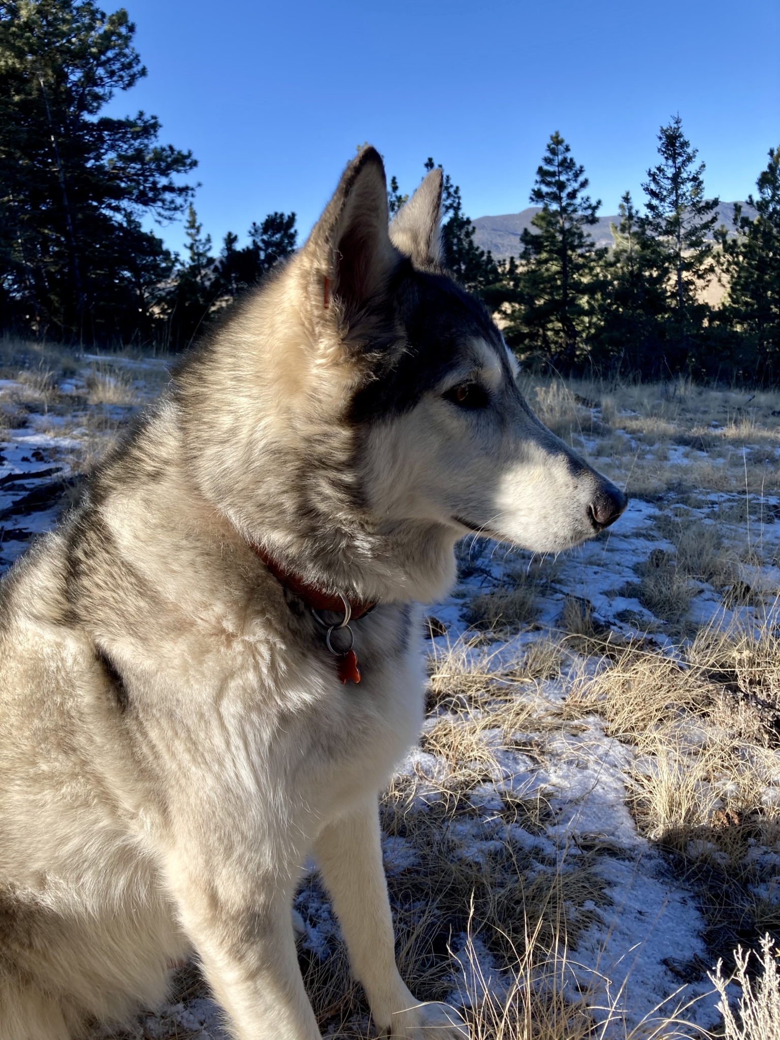 1 Best Home Inspection Cost Look Property Inspection Home